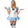 Adult Female Costumes to Hire - Alice Blue  Apron Dress